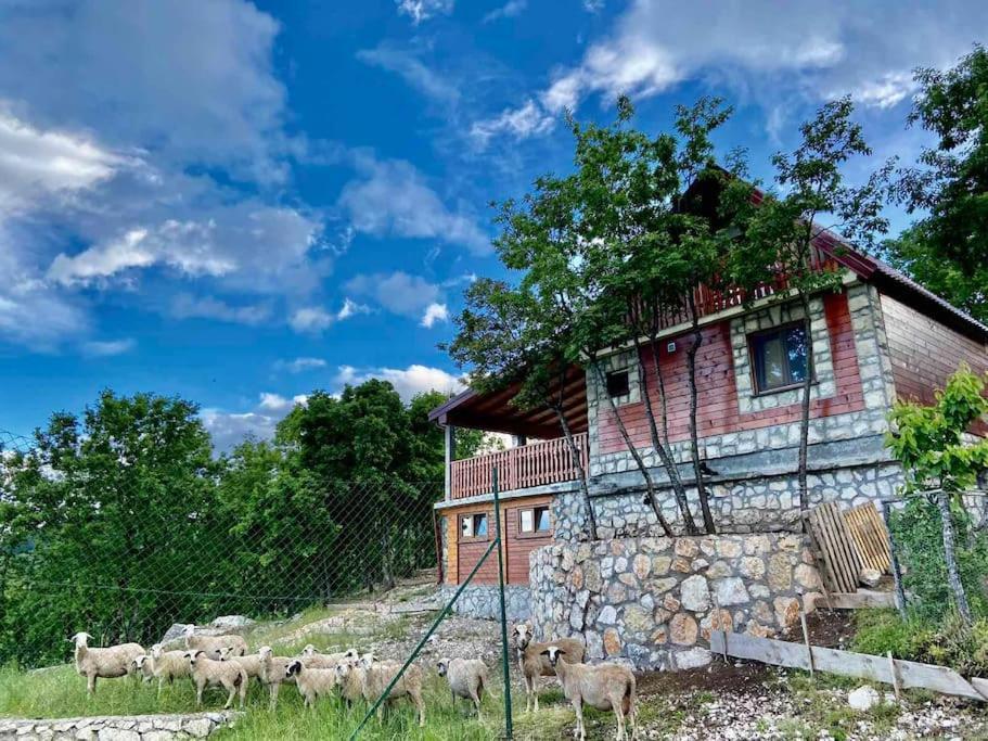 Mountain Village House เซทินเจ ภายนอก รูปภาพ