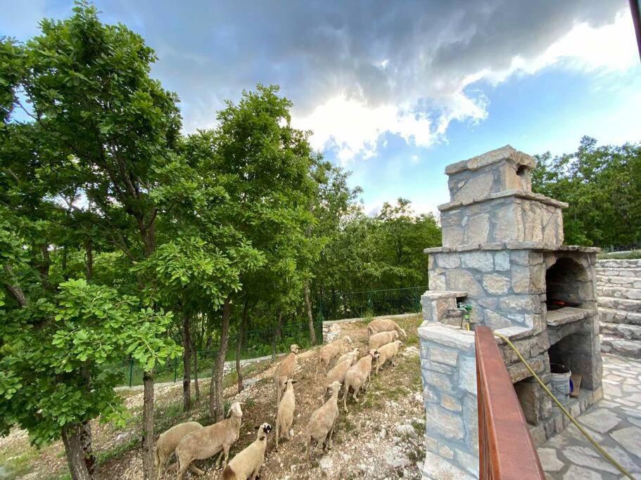 Mountain Village House เซทินเจ ภายนอก รูปภาพ